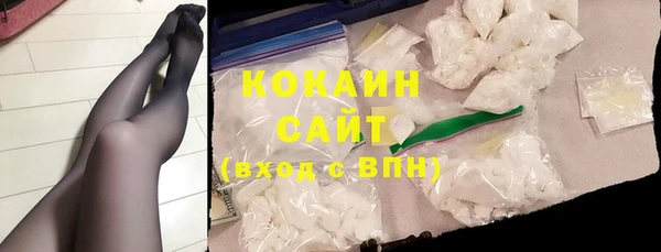ПСИЛОЦИБИНОВЫЕ ГРИБЫ Михайлов
