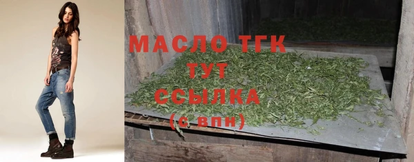 ПСИЛОЦИБИНОВЫЕ ГРИБЫ Михайлов