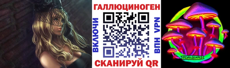 Галлюциногенные грибы Psilocybine cubensis  Куса 