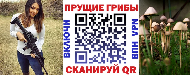 Псилоцибиновые грибы мухоморы Куса